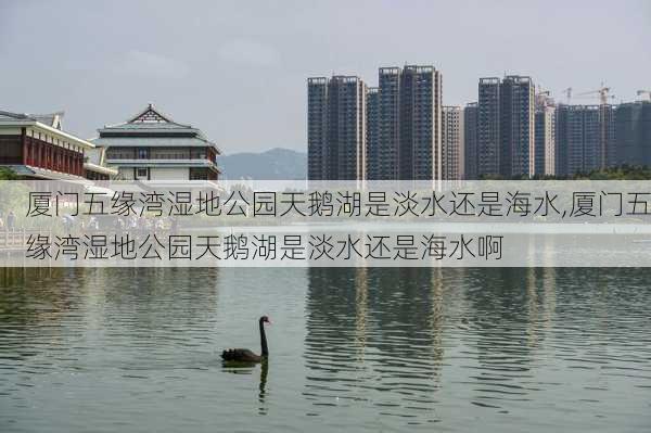 厦门五缘湾湿地公园天鹅湖是淡水还是海水,厦门五缘湾湿地公园天鹅湖是淡水还是海水啊