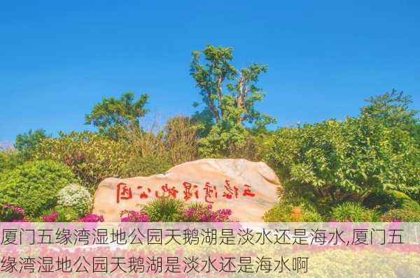 厦门五缘湾湿地公园天鹅湖是淡水还是海水,厦门五缘湾湿地公园天鹅湖是淡水还是海水啊