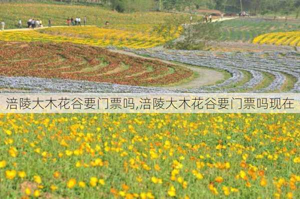 涪陵大木花谷要门票吗,涪陵大木花谷要门票吗现在