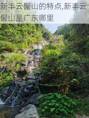 新丰云髻山的特点,新丰云髻山是广东哪里