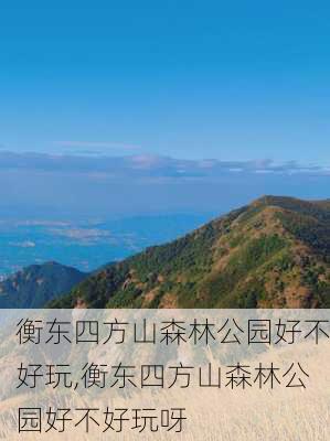 衡东四方山森林公园好不好玩,衡东四方山森林公园好不好玩呀