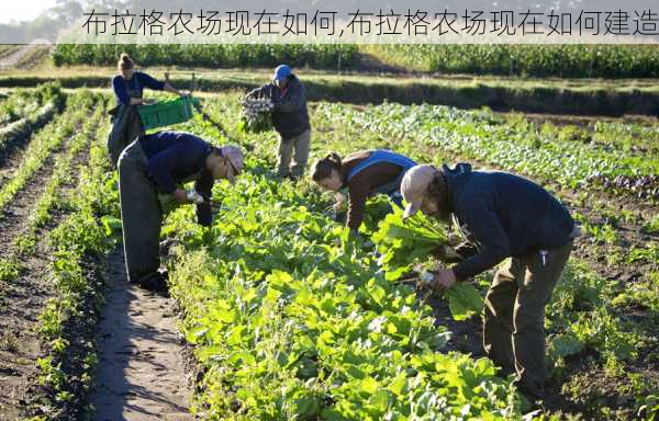 布拉格农场现在如何,布拉格农场现在如何建造