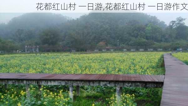 花都红山村 一日游,花都红山村 一日游作文