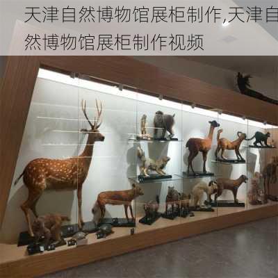 天津自然博物馆展柜制作,天津自然博物馆展柜制作视频