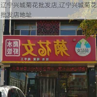 辽宁兴城菊花批发店,辽宁兴城菊花批发店地址