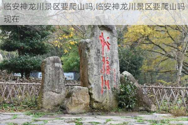 临安神龙川景区要爬山吗,临安神龙川景区要爬山吗现在