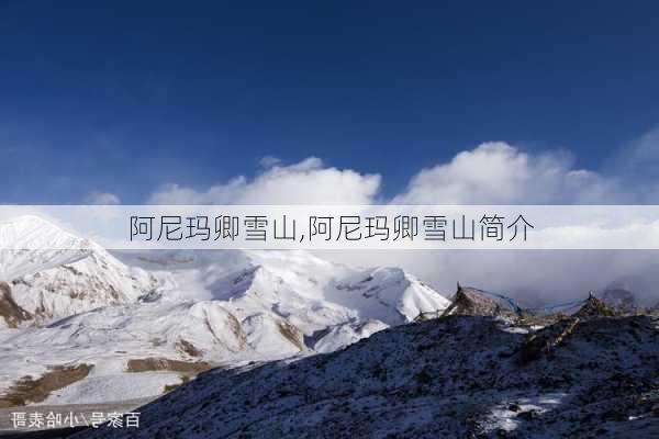 阿尼玛卿雪山,阿尼玛卿雪山简介