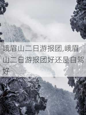 峨眉山二日游报团,峨眉山二日游报团好还是自驾好