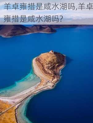 羊卓雍措是咸水湖吗,羊卓雍措是咸水湖吗?