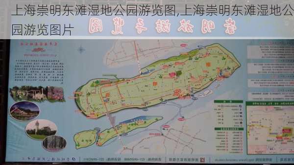 上海崇明东滩湿地公园游览图,上海崇明东滩湿地公园游览图片