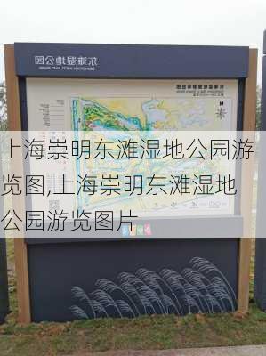 上海崇明东滩湿地公园游览图,上海崇明东滩湿地公园游览图片