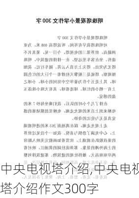 中央电视塔介绍,中央电视塔介绍作文300字