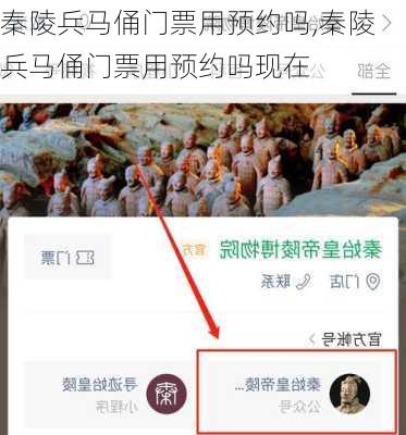 秦陵兵马俑门票用预约吗,秦陵兵马俑门票用预约吗现在