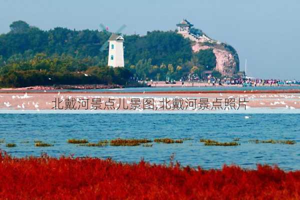 北戴河景点儿景图,北戴河景点照片