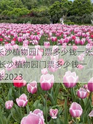 长沙植物园门票多少钱一张,长沙植物园门票多少钱一张2023