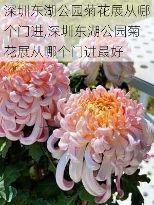 深圳东湖公园菊花展从哪个门进,深圳东湖公园菊花展从哪个门进最好