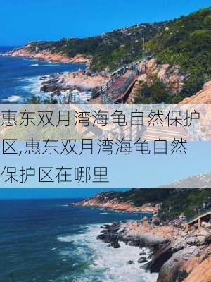 惠东双月湾海龟自然保护区,惠东双月湾海龟自然保护区在哪里