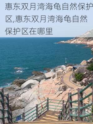 惠东双月湾海龟自然保护区,惠东双月湾海龟自然保护区在哪里