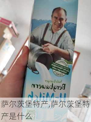 萨尔茨堡特产,萨尔茨堡特产是什么