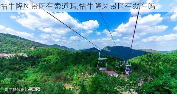 牯牛降风景区有索道吗,牯牛降风景区有缆车吗