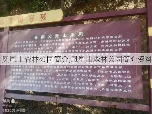 凤凰山森林公园简介,凤凰山森林公园简介资料