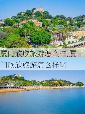 厦门欣欣旅游怎么样,厦门欣欣旅游怎么样啊