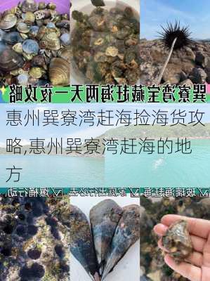 惠州巽寮湾赶海捡海货攻略,惠州巽寮湾赶海的地方