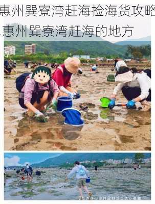 惠州巽寮湾赶海捡海货攻略,惠州巽寮湾赶海的地方