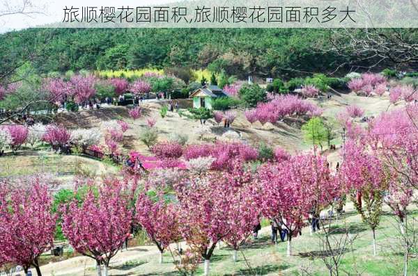 旅顺樱花园面积,旅顺樱花园面积多大