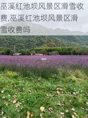 巫溪红池坝风景区滑雪收费,巫溪红池坝风景区滑雪收费吗