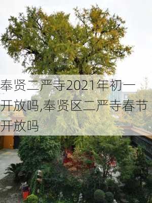 奉贤二严寺2021年初一开放吗,奉贤区二严寺春节开放吗