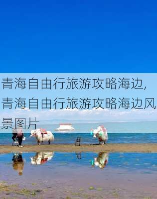 青海自由行旅游攻略海边,青海自由行旅游攻略海边风景图片