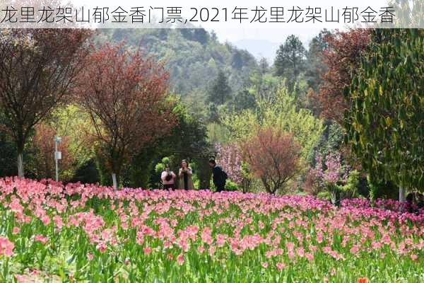 龙里龙架山郁金香门票,2021年龙里龙架山郁金香