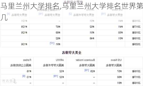 马里兰州大学排名,马里兰州大学排名世界第几