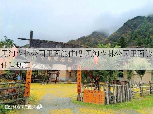 黑河森林公园里面能住吗,黑河森林公园里面能住吗现在