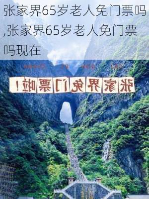 张家界65岁老人免门票吗,张家界65岁老人免门票吗现在