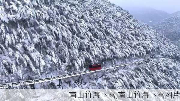 南山竹海下雪,南山竹海下雪图片