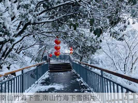 南山竹海下雪,南山竹海下雪图片