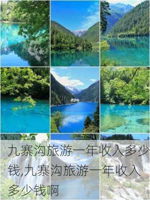 九寨沟旅游一年收入多少钱,九寨沟旅游一年收入多少钱啊