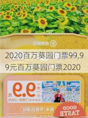 2020百万葵园门票99,99元百万葵园门票2020