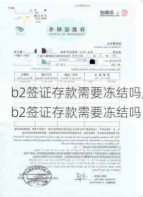 b2签证存款需要冻结吗,b2签证存款需要冻结吗