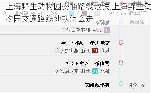 上海野生动物园交通路线地铁,上海野生动物园交通路线地铁怎么走