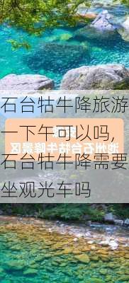 石台牯牛降旅游一下午可以吗,石台牯牛降需要坐观光车吗