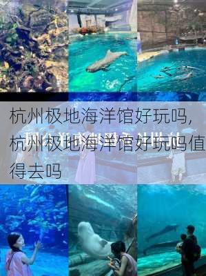 杭州极地海洋馆好玩吗,杭州极地海洋馆好玩吗值得去吗