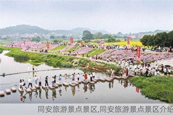 同安旅游景点景区,同安旅游景点景区介绍