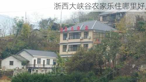 浙西大峡谷农家乐住哪里好,