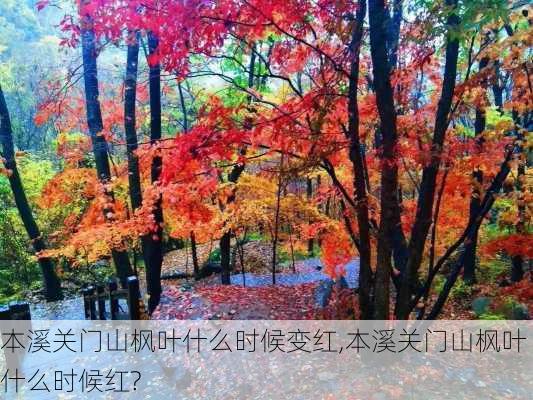 本溪关门山枫叶什么时候变红,本溪关门山枫叶什么时候红?