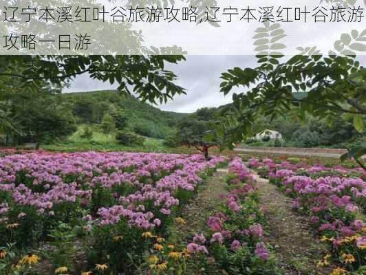 辽宁本溪红叶谷旅游攻略,辽宁本溪红叶谷旅游攻略一日游