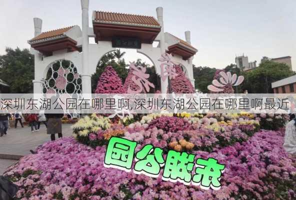 深圳东湖公园在哪里啊,深圳东湖公园在哪里啊最近