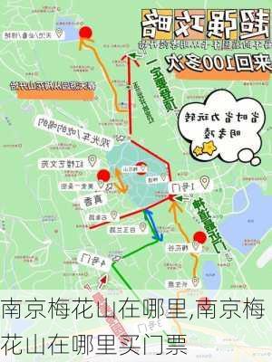 南京梅花山在哪里,南京梅花山在哪里买门票